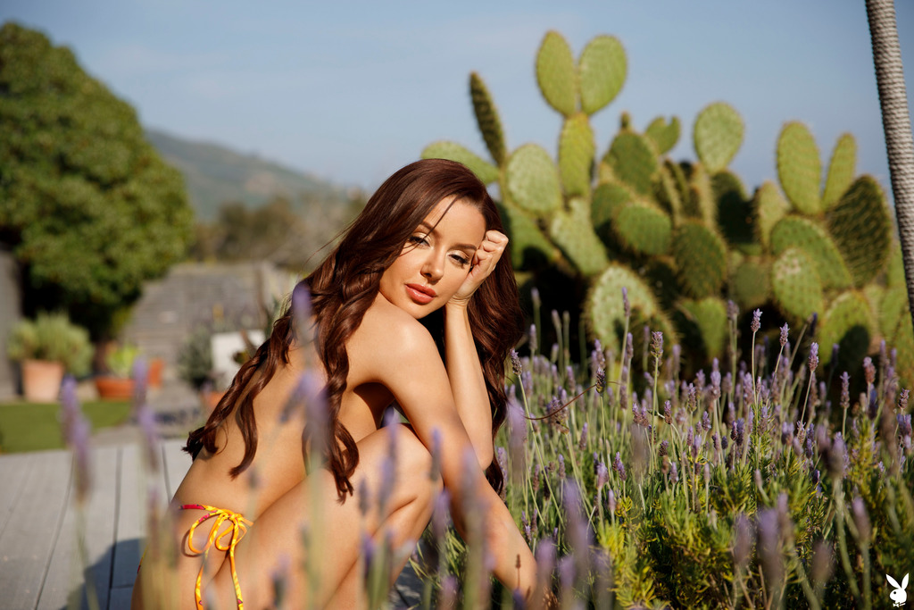 Vanna Bardot Gallery 6